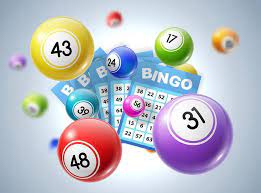 Conseils de Bingo En ligne